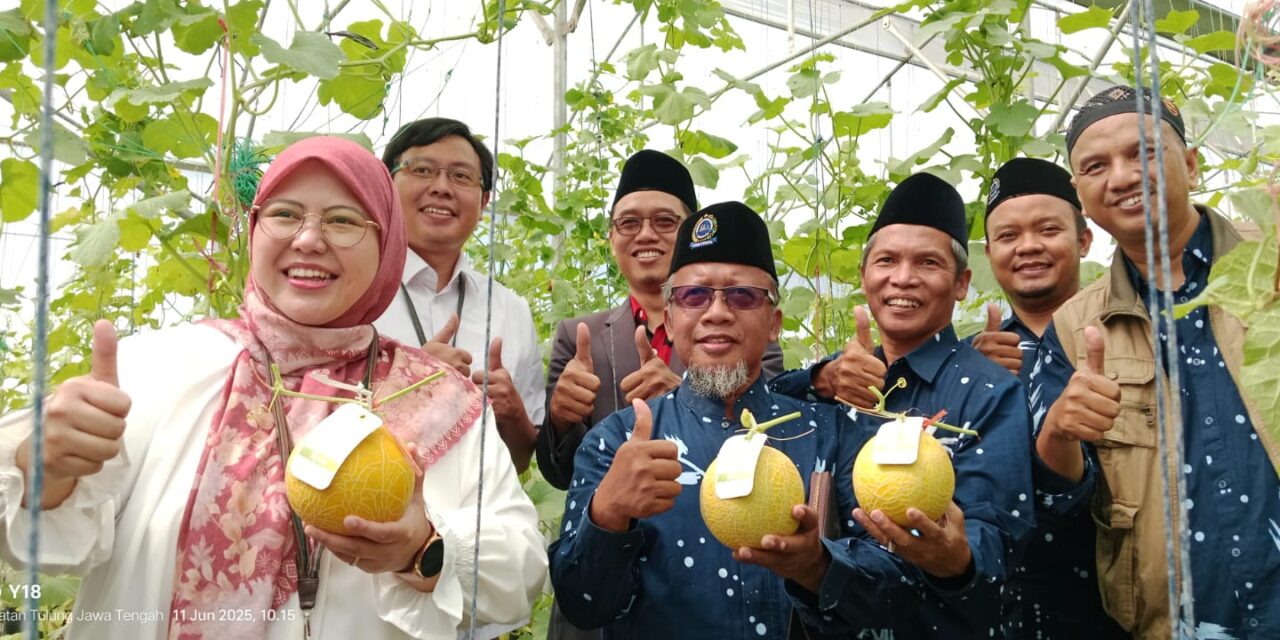 Deputi Kepala Perwakilan Bank Indonesia Solo Pimpin Panen Melon Inthanon di Klaten