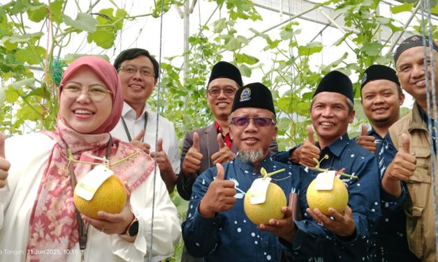 Deputi Kepala Perwakilan Bank Indonesia Solo Pimpin Panen Melon Inthanon di Klaten